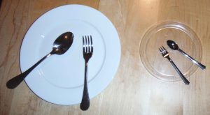 Regular Plate/Bariatric Plate size difference